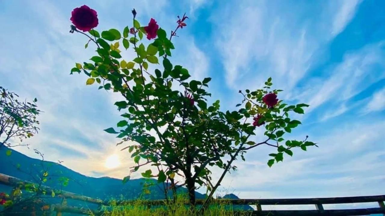 Ha Lu Homestay Lào Cai Exterior foto