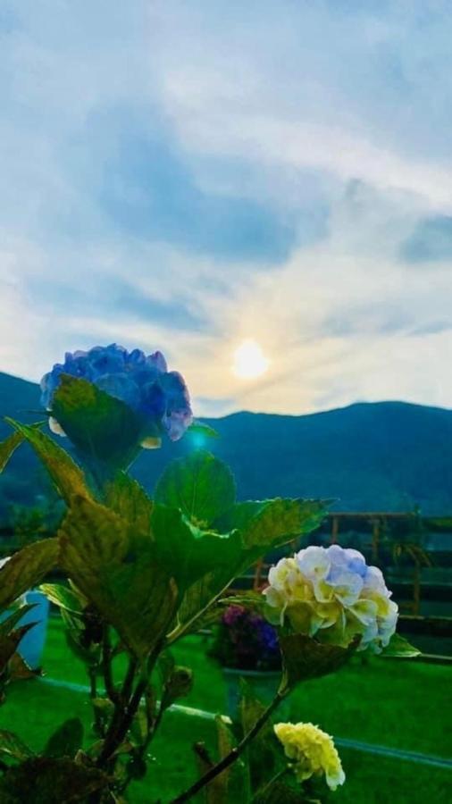 Ha Lu Homestay Lào Cai Exterior foto