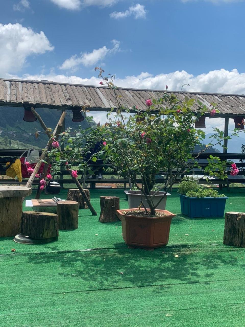 Ha Lu Homestay Lào Cai Exterior foto